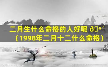 二月生什么命格的人好呢 🪴 （1998年二月十二什么命格）